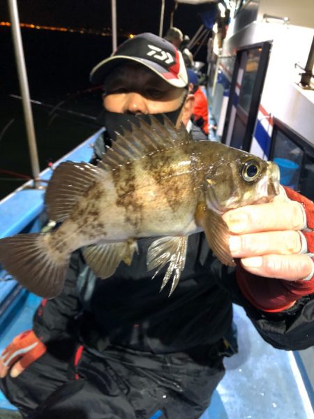 ヤザワ渡船 釣果