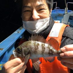 ヤザワ渡船 釣果