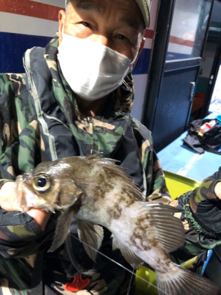 ヤザワ渡船 釣果