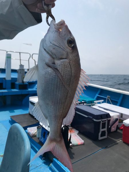 太平丸 釣果