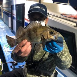 ヤザワ渡船 釣果