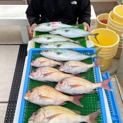 釣人家 釣果