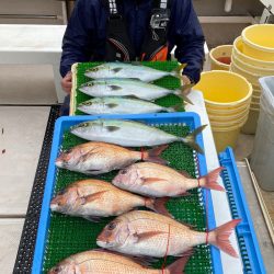 釣人家 釣果