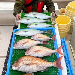 釣人家 釣果