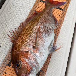 釣人家 釣果