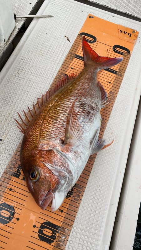 釣人家 釣果