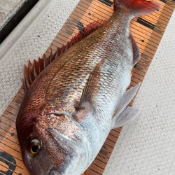 釣人家 釣果