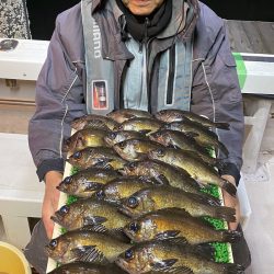 釣人家 釣果