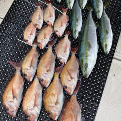 釣人家 釣果