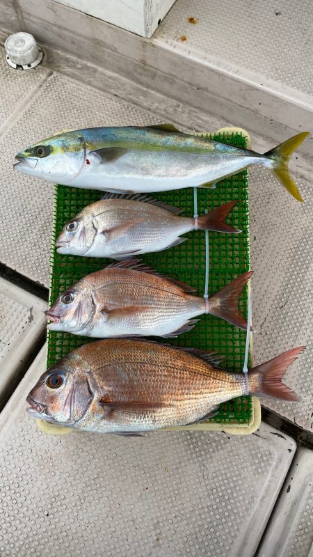 釣人家 釣果