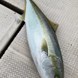 釣人家 釣果