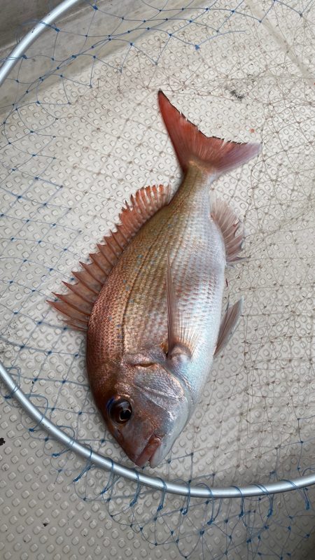 釣人家 釣果