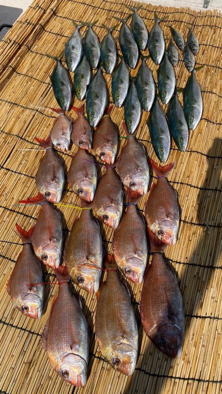 釣人家 釣果