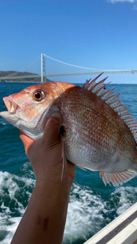 釣人家 釣果