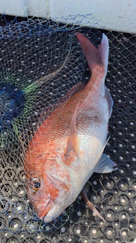 釣人家 釣果