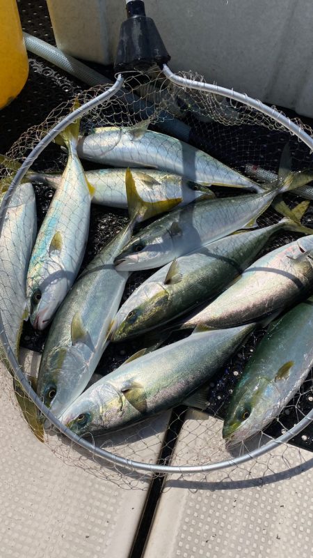 釣人家 釣果