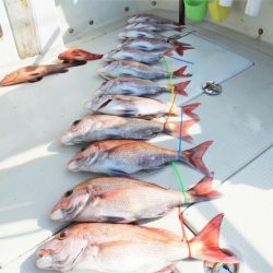 KIM Fishing Guide Service 釣果