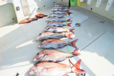 KIM Fishing Guide Service 釣果