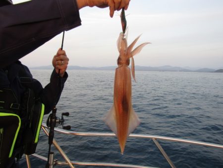 ジギング船 BLUEWATER 釣果