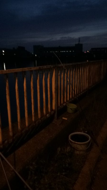 淀川のウナギ釣り