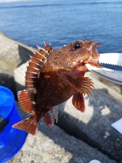 穴釣り