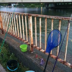 淀川のウナギ釣りパート4