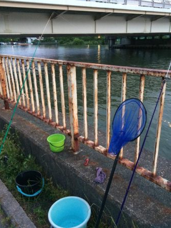 淀川のウナギ釣りパート4