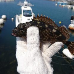 久しぶりの穴釣り