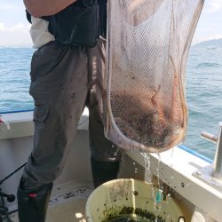 たかみ丸 釣果