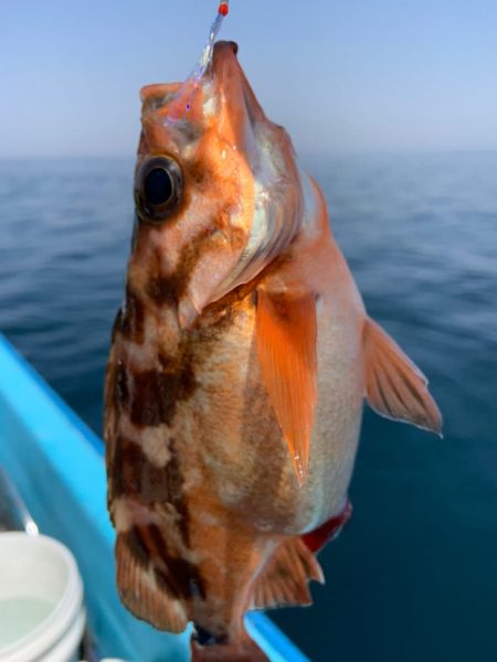 宝昌丸 釣果