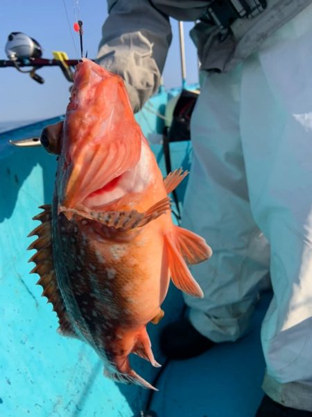 宝昌丸 釣果