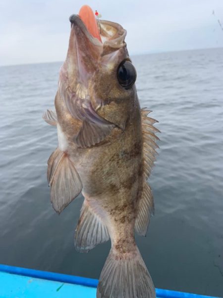 宝昌丸 釣果