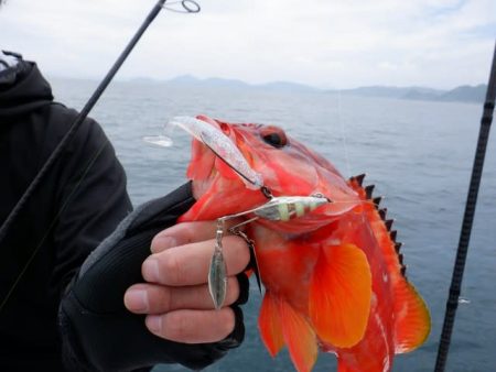 開進丸 釣果