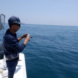 開進丸 釣果