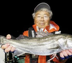 恵陽丸 釣果