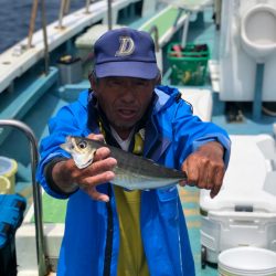 丸万釣船 釣果