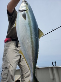 功晴丸 釣果