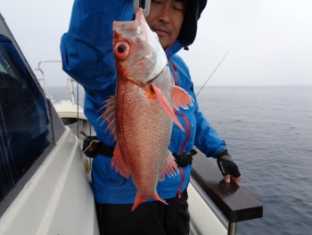 鯛紅丸 釣果