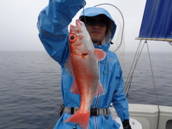 鯛紅丸 釣果