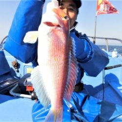 鯛紅丸 釣果