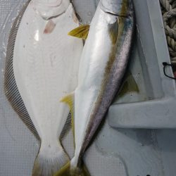 海龍丸（福岡） 釣果