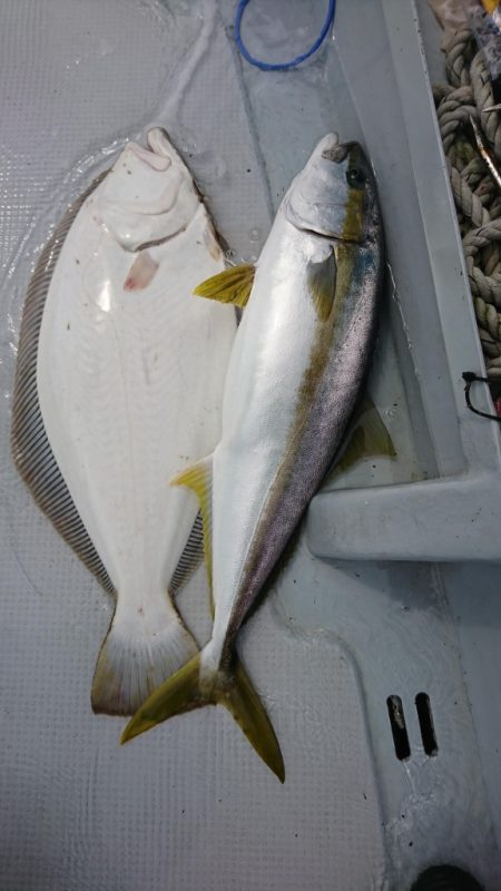 海龍丸（福岡） 釣果