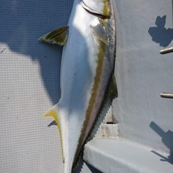 海龍丸（福岡） 釣果