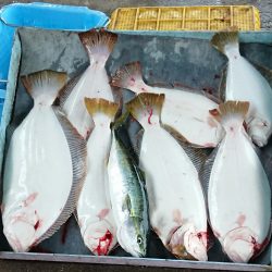 明神釣船 釣果