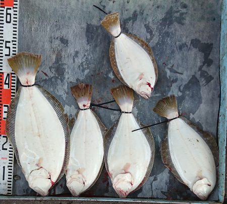 明神釣船 釣果