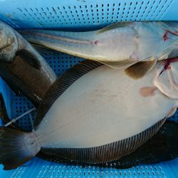 明神釣船 釣果