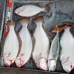 明神釣船 釣果