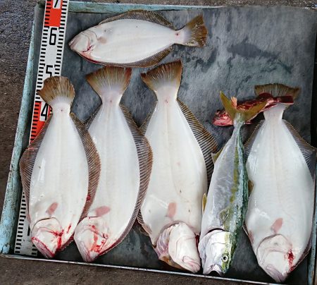 明神釣船 釣果