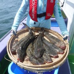 川崎丸 釣果