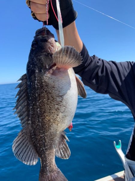 宝昌丸 釣果